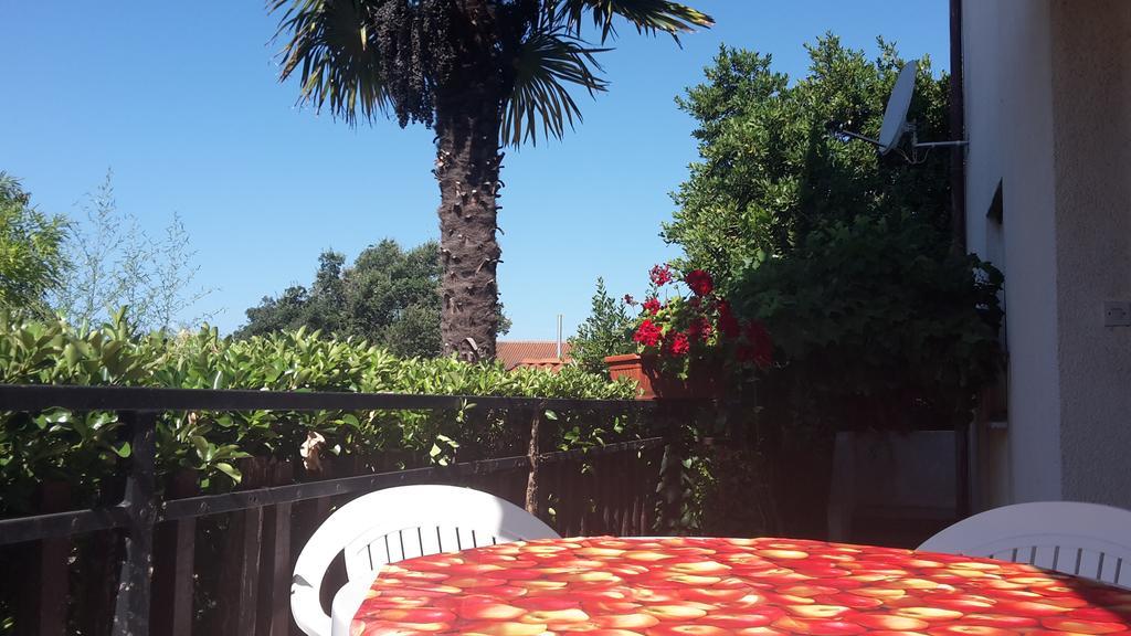 Zlata Vrcevan Apartmán *